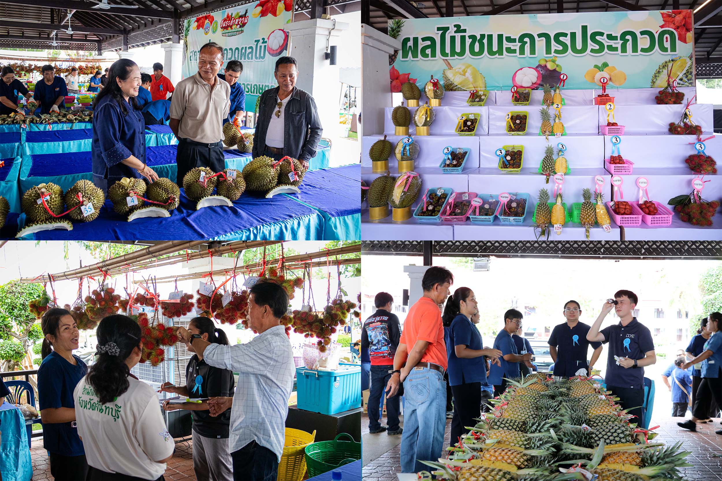 จังหวัดตราด จัดประกวดผลไม้ 6 ชนิด ในการจัดงานวันระกำหวาน ผลไม้ และของดีเมืองตราด ประจำปี 2569