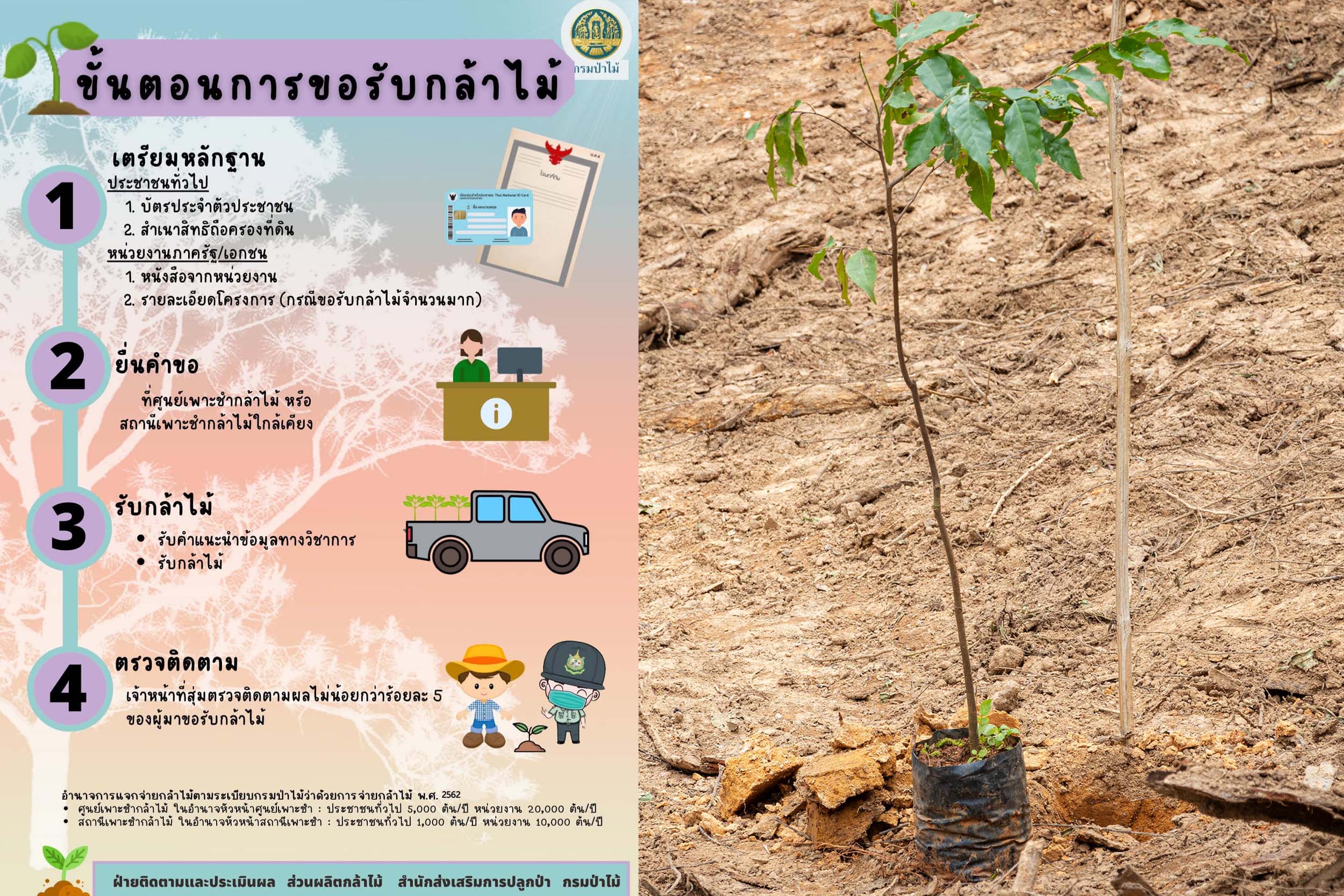 ศูนย์เพาะชำกล้าไม้จันทบุรี ประชาสัมพันธ์เชิญชวน หน่วยงานภาครัฐ ภาคเอกชน และประชาชน สามารถขอรับกล้าไม้หลากหลายสายพันธุ์ได้โดยไม่เสียค่าใช้จ่าย