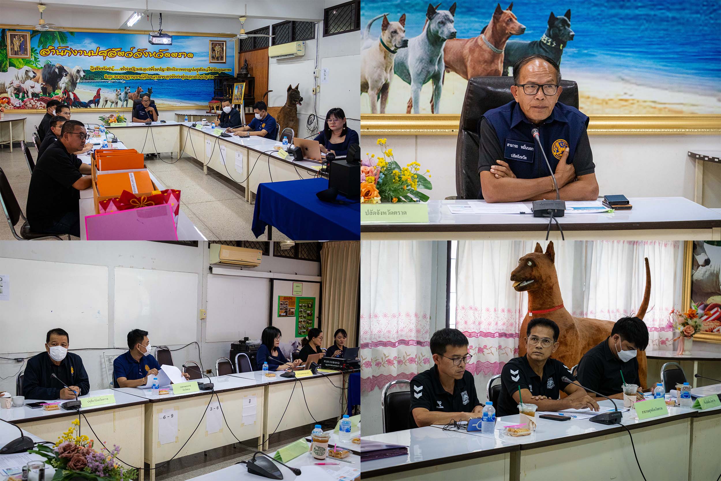 สำนักงานปศุสัตว์จังหวัดตราด จัดประชุมคณะกรรมการประเมินอำเภอปลอดโรคพิษสุนัขบ้า