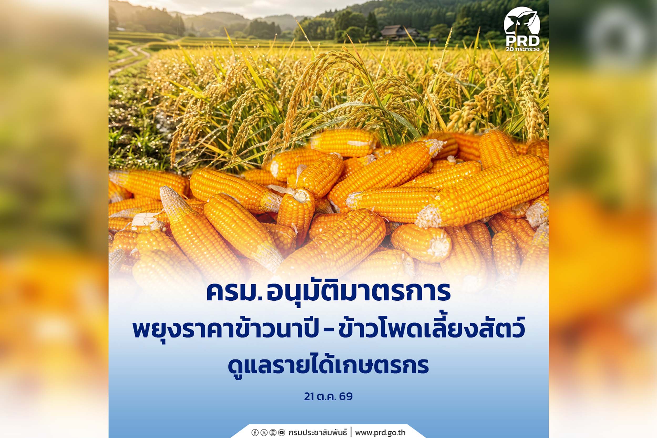 เก็บตก_ครม. อนุมัติมาตรการพยุงราคาข้าวนาปี&ndash;ข้าวโพดเลี้ยงสัตว์ ดูแลรายได้เกษตรกร